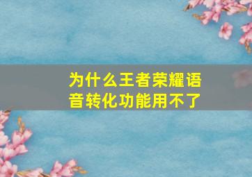 为什么王者荣耀语音转化功能用不了