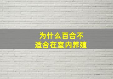 为什么百合不适合在室内养殖