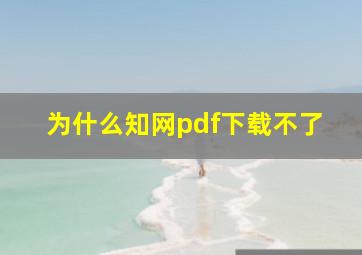 为什么知网pdf下载不了