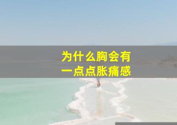 为什么胸会有一点点胀痛感