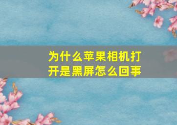 为什么苹果相机打开是黑屏怎么回事