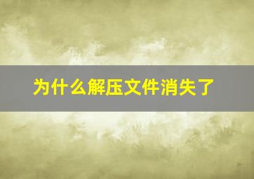 为什么解压文件消失了