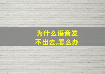 为什么语音发不出去,怎么办