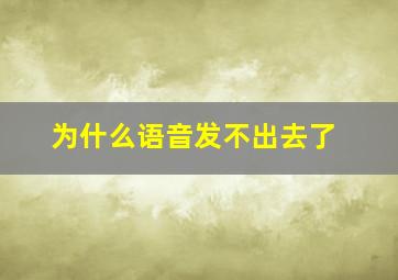 为什么语音发不出去了