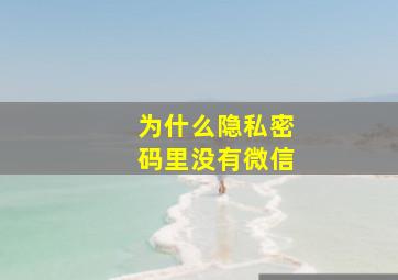 为什么隐私密码里没有微信