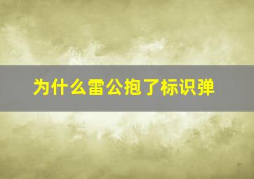 为什么雷公抱了标识弹