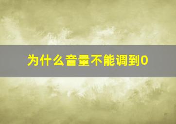 为什么音量不能调到0