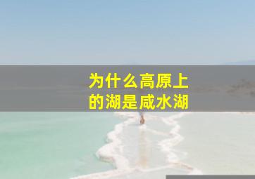 为什么高原上的湖是咸水湖