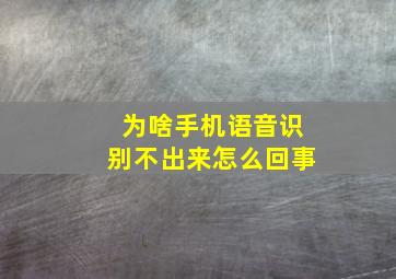 为啥手机语音识别不出来怎么回事