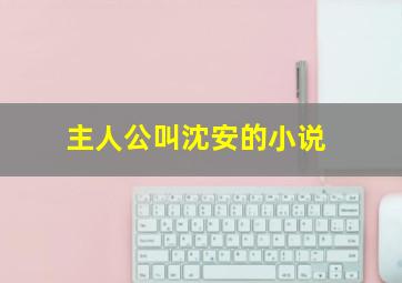 主人公叫沈安的小说