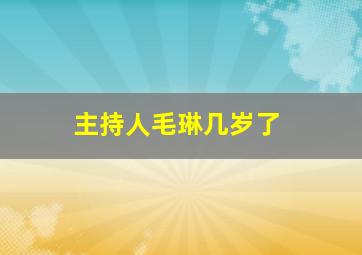 主持人毛琳几岁了