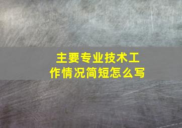 主要专业技术工作情况简短怎么写