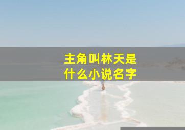 主角叫林天是什么小说名字