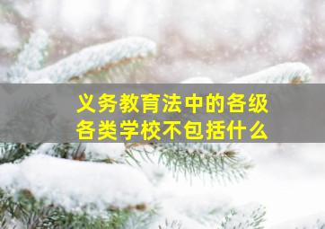 义务教育法中的各级各类学校不包括什么