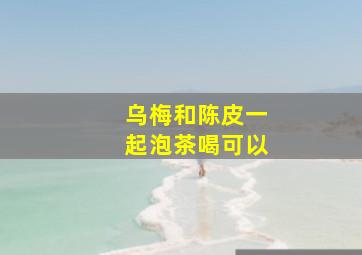 乌梅和陈皮一起泡茶喝可以