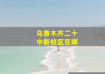 乌鲁木齐二十中新校区在哪