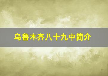 乌鲁木齐八十九中简介