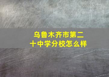 乌鲁木齐市第二十中学分校怎么样