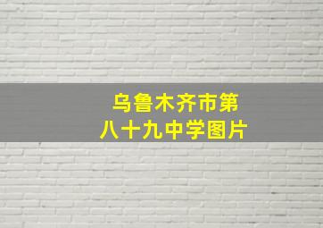 乌鲁木齐市第八十九中学图片