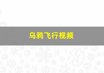 乌鸦飞行视频