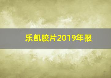 乐凯胶片2019年报