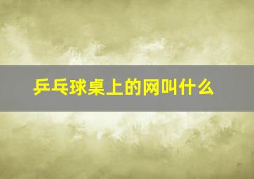 乒乓球桌上的网叫什么