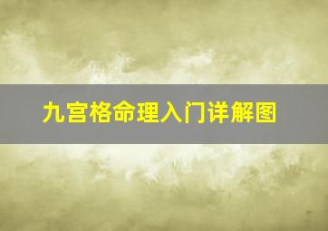 九宫格命理入门详解图