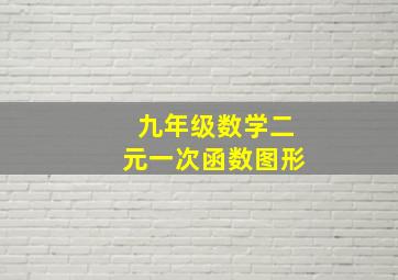 九年级数学二元一次函数图形