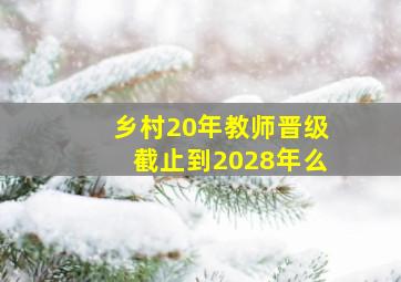 乡村20年教师晋级截止到2028年么