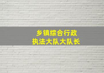 乡镇综合行政执法大队大队长