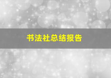 书法社总结报告