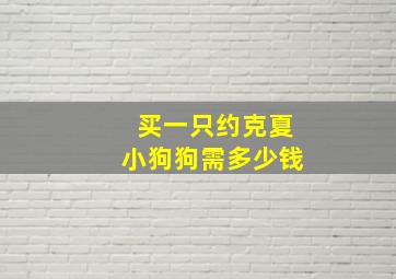 买一只约克夏小狗狗需多少钱