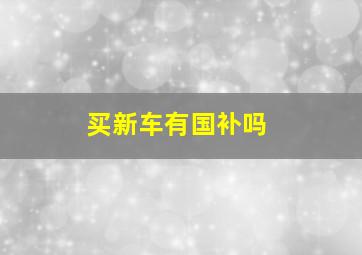 买新车有国补吗