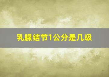 乳腺结节1公分是几级