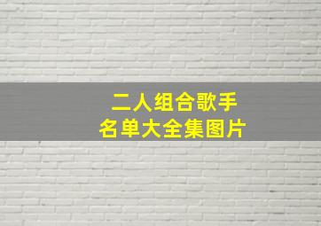 二人组合歌手名单大全集图片