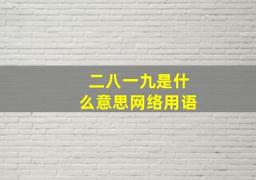 二八一九是什么意思网络用语