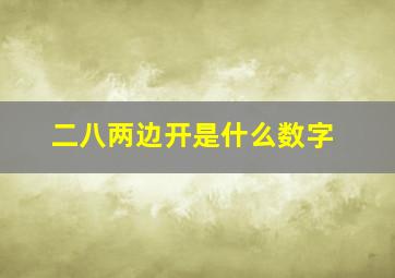 二八两边开是什么数字