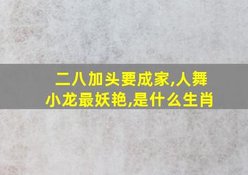 二八加头要成家,人舞小龙最妖艳,是什么生肖