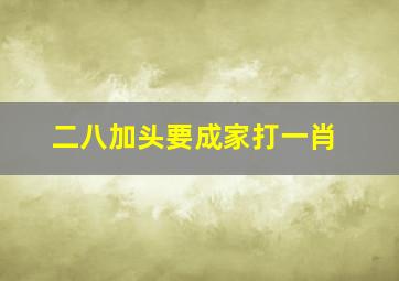 二八加头要成家打一肖