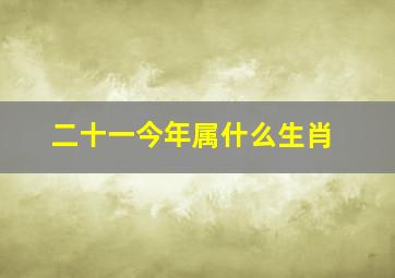 二十一今年属什么生肖