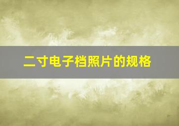 二寸电子档照片的规格