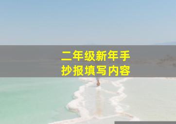 二年级新年手抄报填写内容