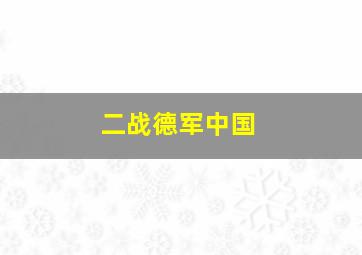 二战德军中国