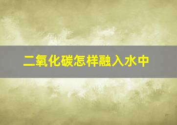 二氧化碳怎样融入水中