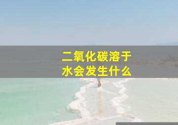 二氧化碳溶于水会发生什么