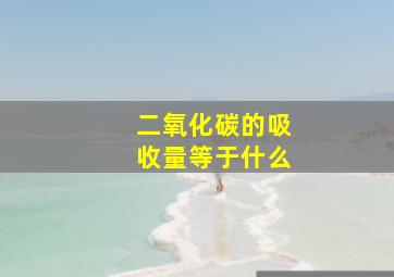 二氧化碳的吸收量等于什么