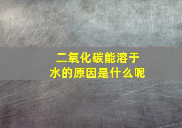 二氧化碳能溶于水的原因是什么呢