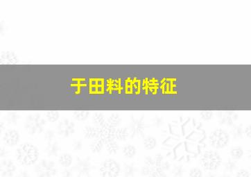 于田料的特征