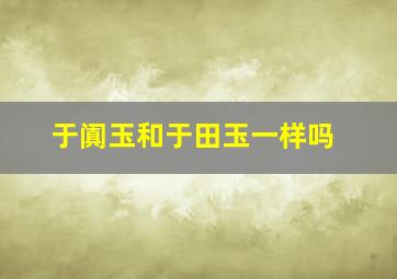 于阗玉和于田玉一样吗