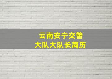 云南安宁交警大队大队长简历